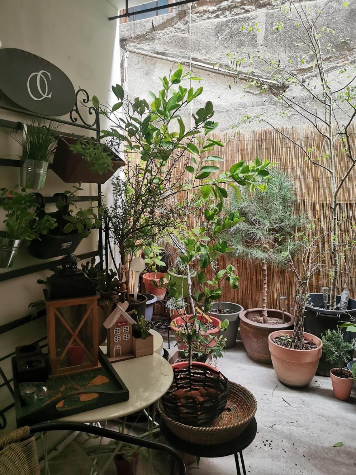 La Maison D'Aromarie Tournus Eksteriør bilde